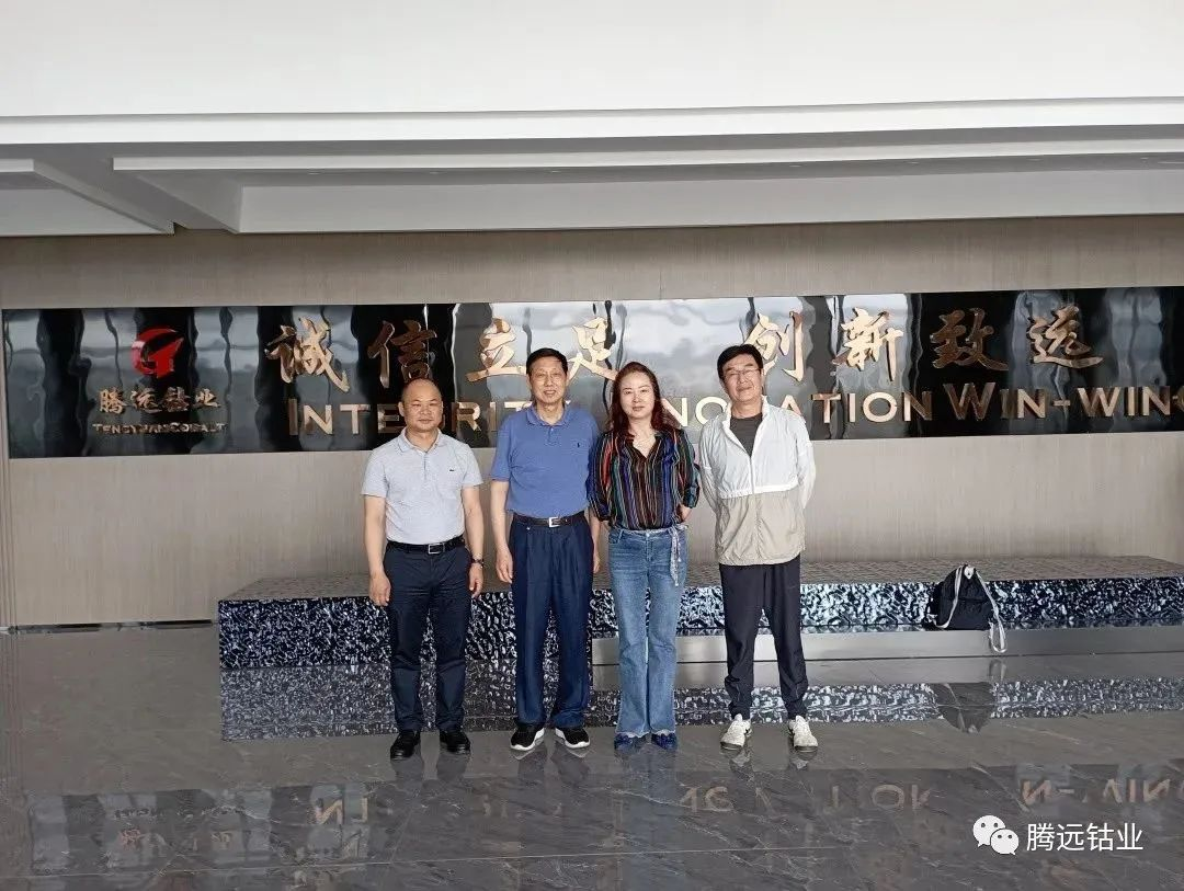 熱烈歡迎贛州市企業(yè)聯(lián)合會一行領(lǐng)導(dǎo)蒞臨騰遠鈷業(yè)調(diào)研