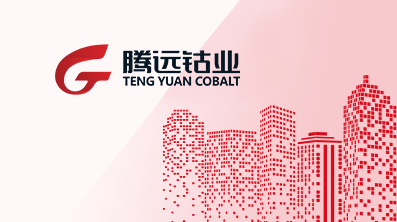 2024年10月環(huán)保公示